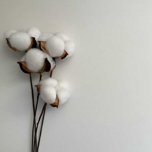 Cotton Duvets: Comfort, Care, Design Ideas